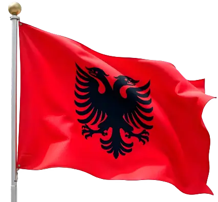Working In Albania 7 albania flag dream
